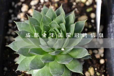成都金牛法院招聘信息