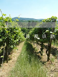 成都铁路运输法院级别管辖