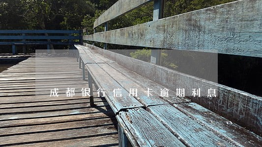 成都银行信用卡逾期利息 成都银行信用卡逾期利息