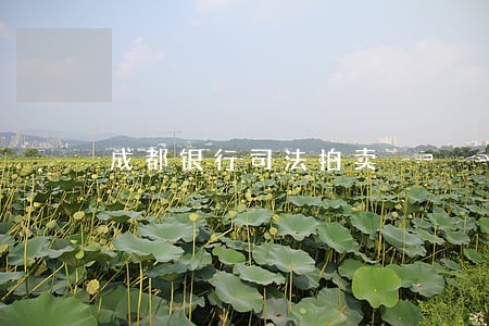 成都银行司法拍卖 成都银行司法拍卖