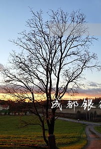成都银行说我逾期 成都银行说我逾期