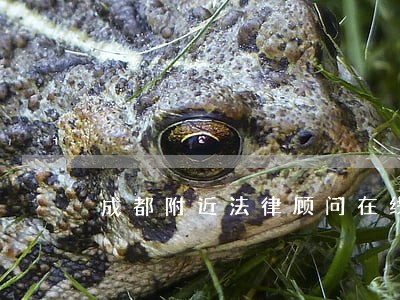 成都附近法律顾问在线 成都附近法律顾问在线