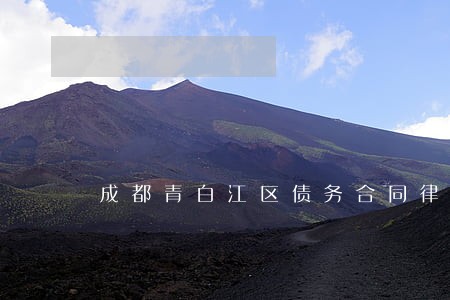 成都青白江区债务合同律师服务 成都青白江区债务合同律师服务