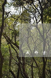 成都靠谱的刑事案律师收费标准 成都靠谱的刑事案律师收费标准