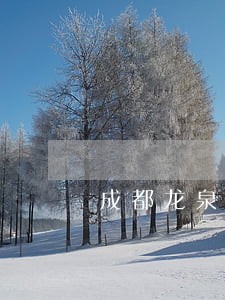 成都龙泉合同纠纷律师 成都龙泉合同纠纷律师