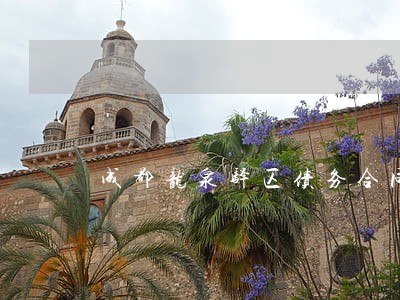 成都龙泉驿区债务合同律师咨询网 成都龙泉驿区债务合同律师咨询网