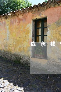 成长钱包逾期1天打电话