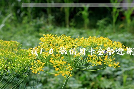 我10张信用卡全部逾期会怎样