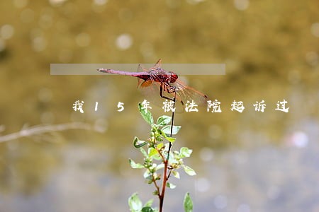 我15年被法院起诉过 我15年被法院起诉过