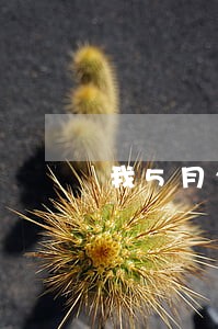 我5月2号才去法院教离婚的上诉 我5月2号才去法院教离婚的上诉