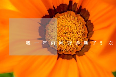 我一年内网贷逾期了5次 我一年内网贷逾期了5次