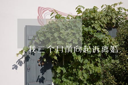 我三个月前向起诉离婚