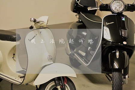 我上法院起诉她 我上法院起诉她