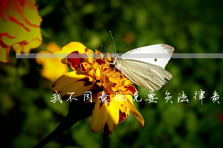 我不同意他说要负法律责任 我不同意他说要负法律责任