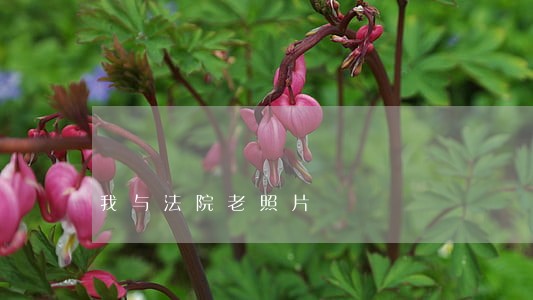 我与法院老照片