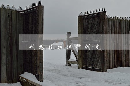 我为程功律师代言 我为程功律师代言