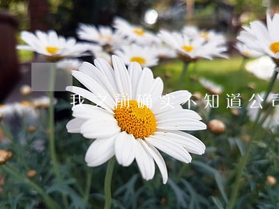 我之前确实不知道公司有违法行为 我之前确实不知道公司有违法行为
