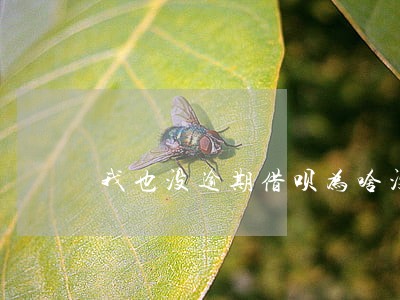 我也没逾期借呗为啥没了信用额度 我也没逾期借呗为啥没了信用额度