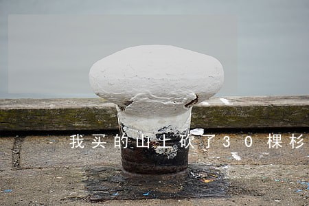 我买的山上砍了30棵杉树违法吗 我买的山上砍了30棵杉树违法吗