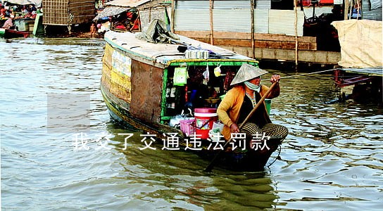 我交了交通违法罚款