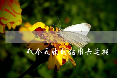 我今天收到信用卡逾期 我今天收到信用卡逾期