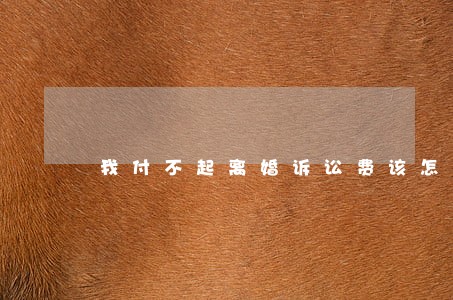 我付不起离婚诉讼费该怎么办 我付不起离婚诉讼费该怎么办