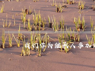 我们作为继承人参加诉讼 我们作为继承人参加诉讼