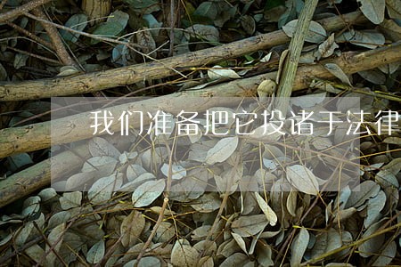 我们准备把它投诸于法律 我们准备把它投诸于法律