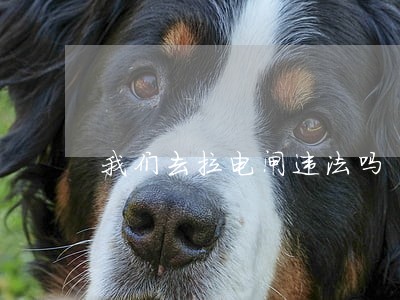 我们去拉电闸违法吗