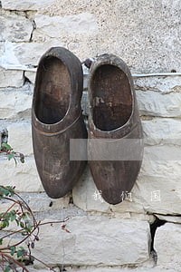 我们国家主要的教育法规 我们国家主要的教育法规
