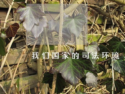 我们国家的司法环境 我们国家的司法环境