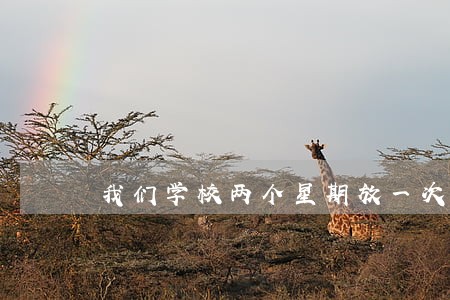 我们学校两个星期放一次假违法吗 我们学校两个星期放一次假违法吗