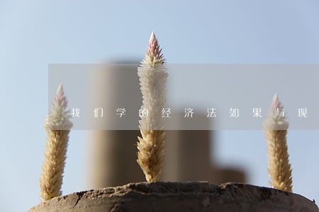 我们学的经济法如果与现实脱节 我们学的经济法如果与现实脱节