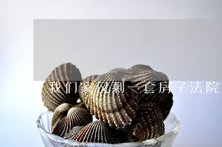 我们家仅剩一套房子法院要拍卖 我们家仅剩一套房子法院要拍卖