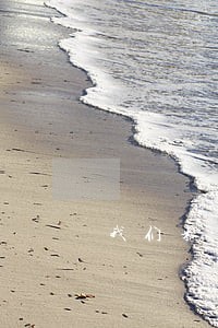 我们来了里的律师 我们来了里的律师