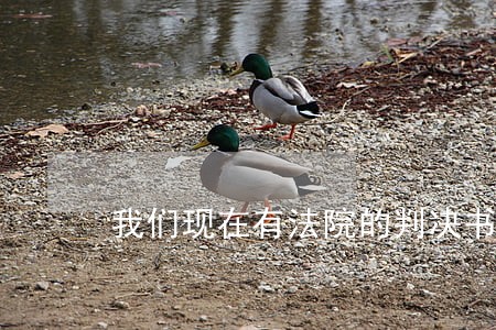 我们现在有法院的判决书 我们现在有法院的判决书