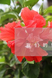 我们的婚姻演员律师 我们的婚姻演员律师