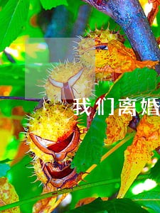 我们离婚吧婉婉怀孕了