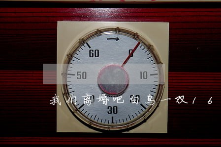 我们离婚吧白鸟一双16