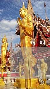 我们重视宪法 我们重视宪法