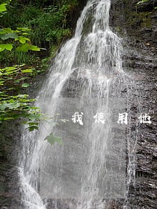 我使用他人信用卡逾期了 我使用他人信用卡逾期了