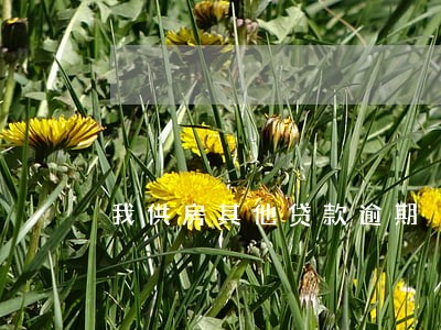 我供房其他贷款逾期 我供房其他贷款逾期