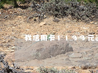 我信用卡1133元逾期了 我信用卡1133元逾期了