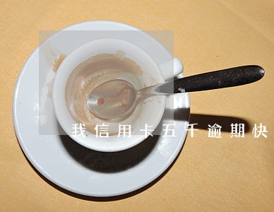 我信用卡五千逾期快一年了 我信用卡五千逾期快一年了