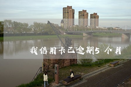 我信用卡已逾期5个月 我信用卡已逾期5个月