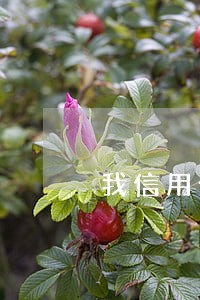 我信用卡有逾期想买房 我信用卡有逾期想买房
