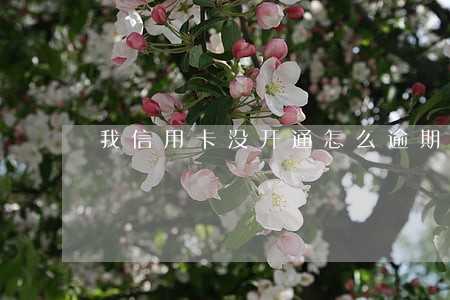 我信用卡没开通怎么逾期了 我信用卡没开通怎么逾期了
