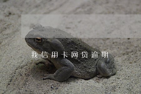 我信用卡网贷逾期