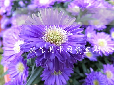 我信用卡网贷逾期我叫家人贷款 我信用卡网贷逾期我叫家人贷款