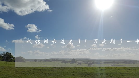 我信用卡透支了5万逾期了一年了 我信用卡透支了5万逾期了一年了